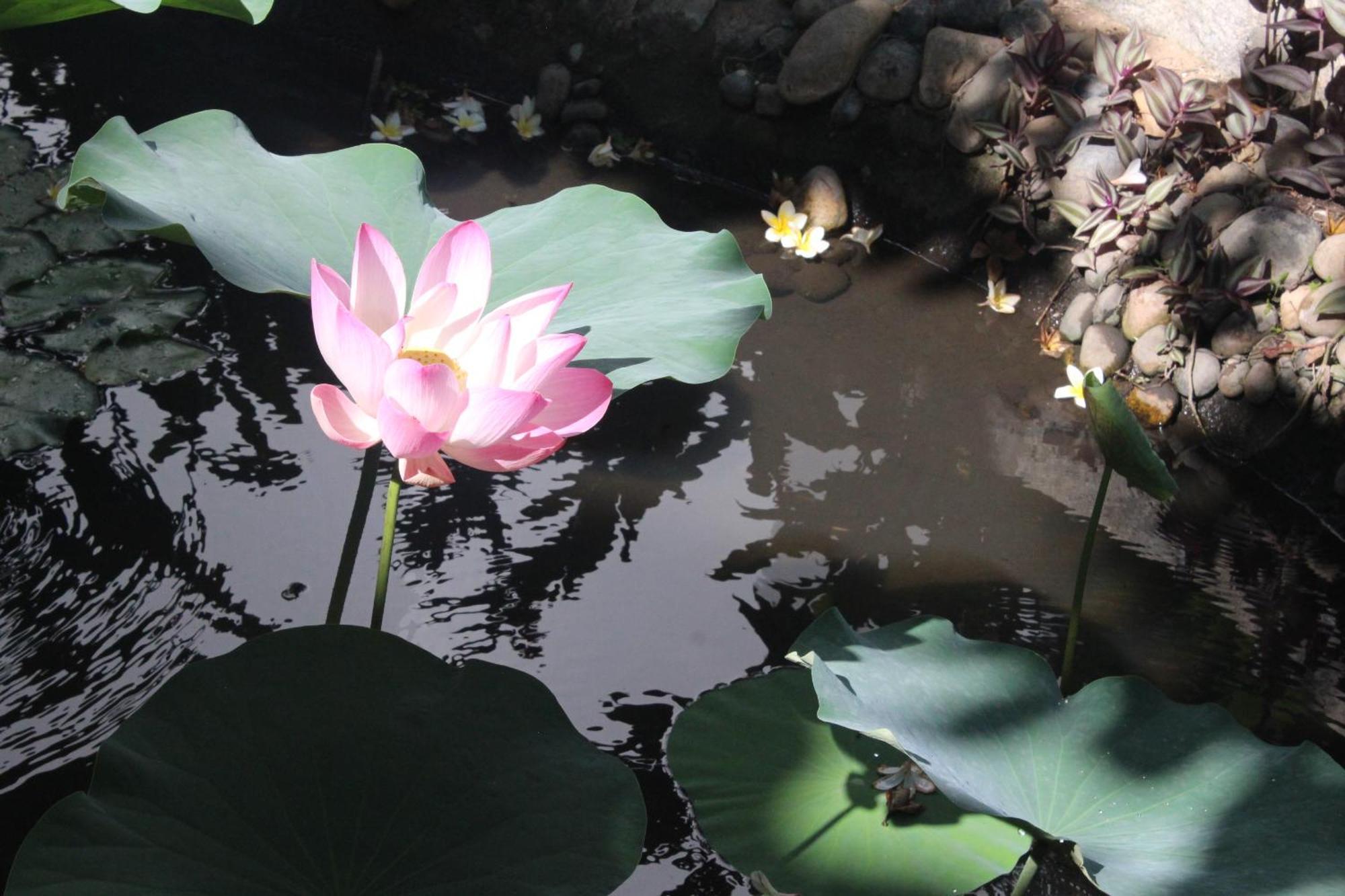 Dynasty Muine Resort Ap Thien Phuoc Dış mekan fotoğraf
